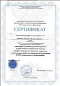 Сертификат участника Всероссийской творческой группы профессионального развития педагогов «Актуальные проблемы введения и реализации ФГОС дошкольного образования» 2019 г. Сертификат участника Всероссийской творческой группы профессионального развития педагогов «Актуальные проблемы введения и реализации ФГОС дошкольного образования» 2019 г.